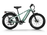 HIMIWAY D5 (Zebra) | Premium All-terrain Electric Fat Bike - Image 5