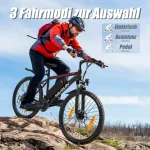 VARUN M26-2 Electric Bike - Image 8
