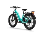 HIMIWAY D5 ST (Zebra ST) | Premium All-terrain Electric Fat Bike - Image 5
