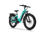 HIMIWAY D5 ST (Zebra ST) | Premium All-terrain Electric Fat Bike - Image 4